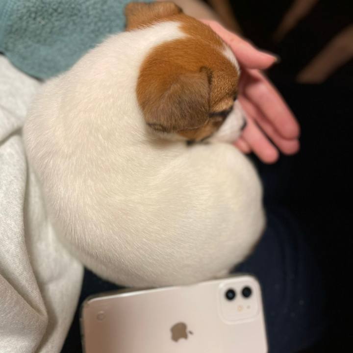 8b2312c1 f5da 415f a06b e3e35cb2b3f8 1615036947141