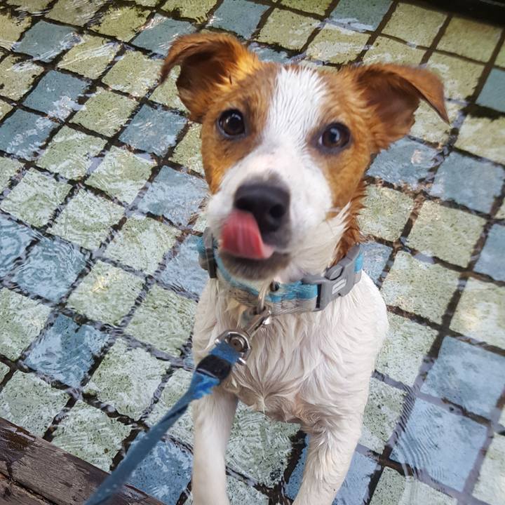 8b232593 f0d8 447c 8819 79add0adfb5d 1558666635010