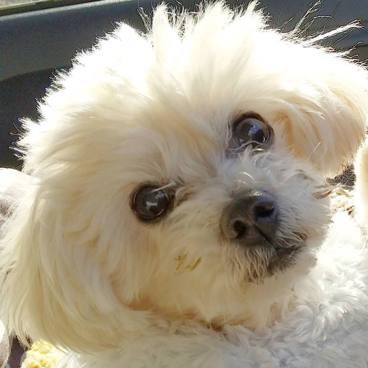 8b2327f8 28a1 4d3c 8594 645a7c42e1ed 1673735140580