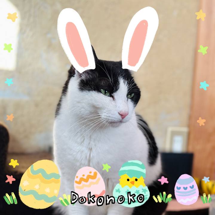 8b23368b ca25 432b b347 20aa41423054 1712282092389