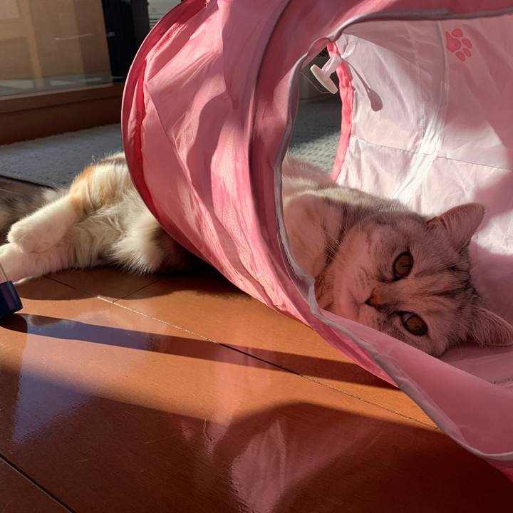 8b2347ca 6940 40ba be4b 7aed4fd4007a 1707608362748