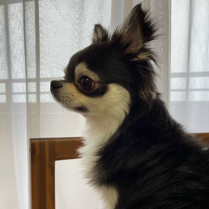 8b235236 1279 4c01 ac15 caebcf6626dd 1657942901076