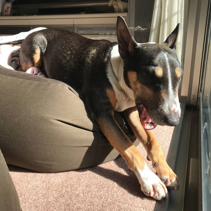 8b236e0b a098 48a8 8976 74cd4085a6a6 1517370194404