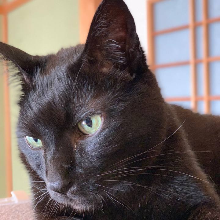 8b237f23 dbcd 4c54 a72f 39b14cf74d75 1590196637250