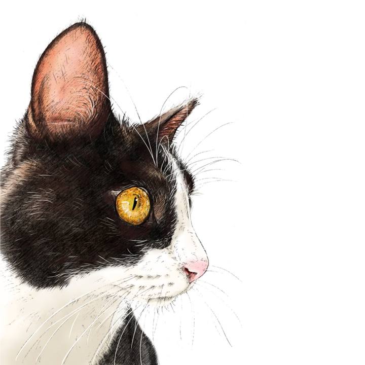 8b23d5a1 ab03 4517 b91d c17fcf6209d5 1639233658063