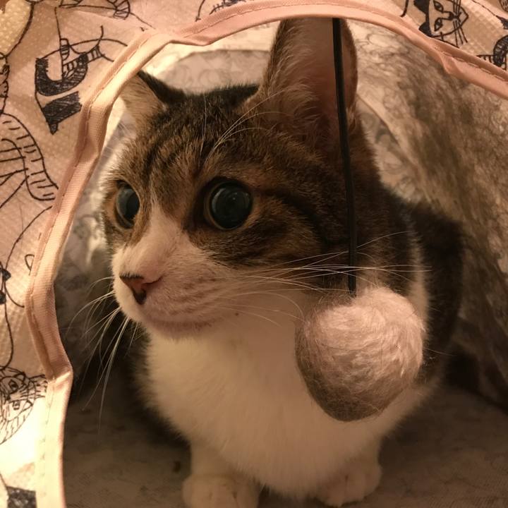 8b243393 67fe 4b8b a9df 77c9181fc020 1542774793697