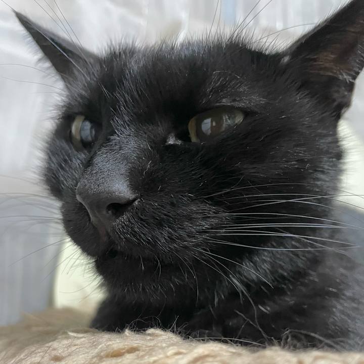 8b24458b 9207 4e70 86cd 59d49a3561b5 1729516558741