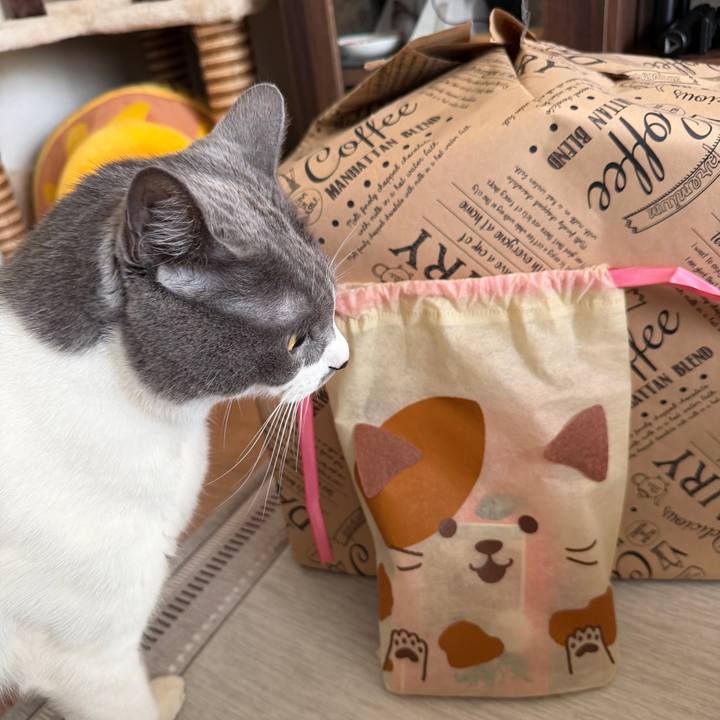 8b244adf 2715 40c1 8675 9caeda3eacc0 1766383152203