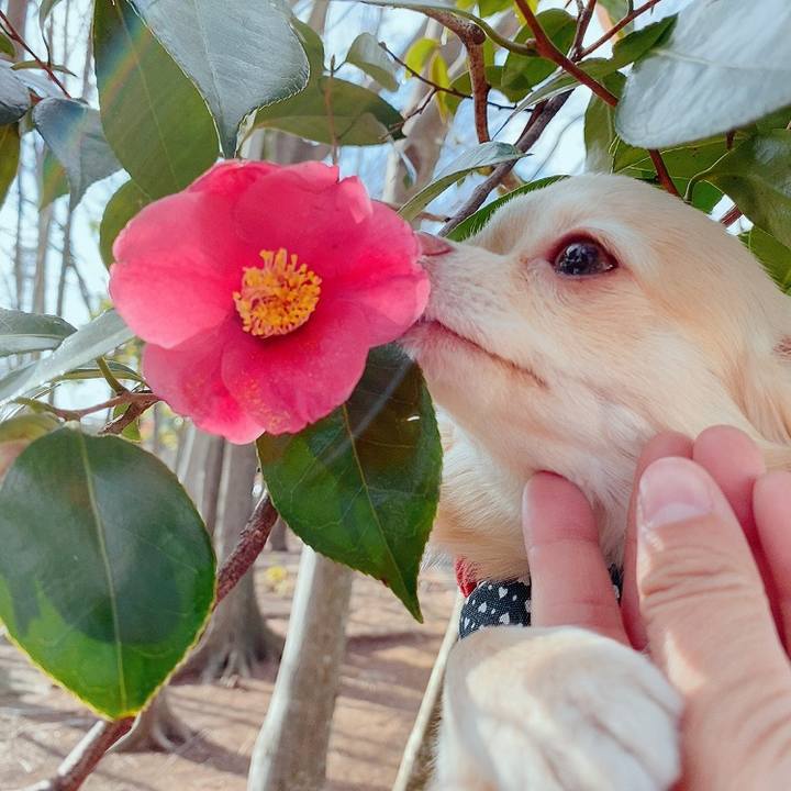 8b245287 f95e 44ad ac81 34c5b215d3e9 1613286386224