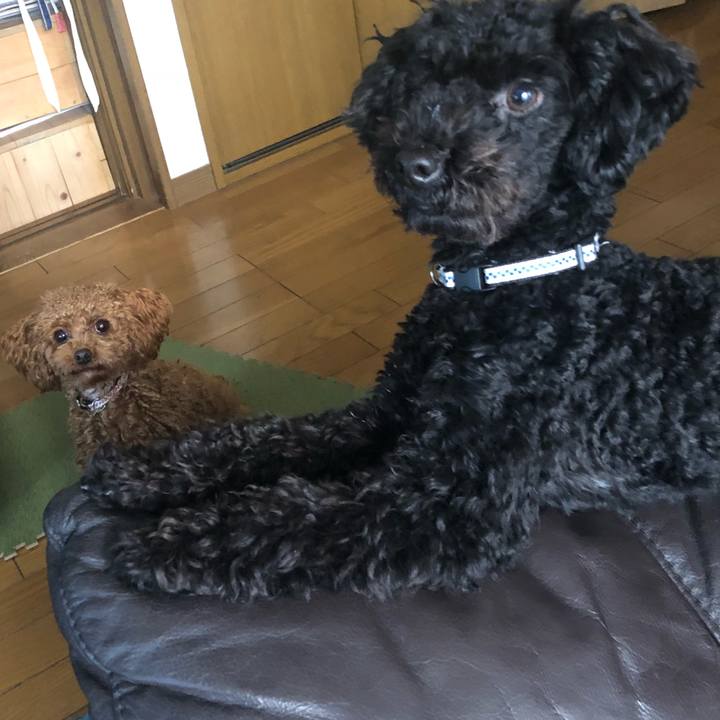 8b24695d 1b43 453d 83c6 d54f1b1e94ef 1517491895944