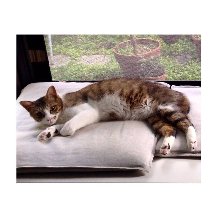 8b249f77 ba35 4029 8eba 1264ad57c465 1616309098567