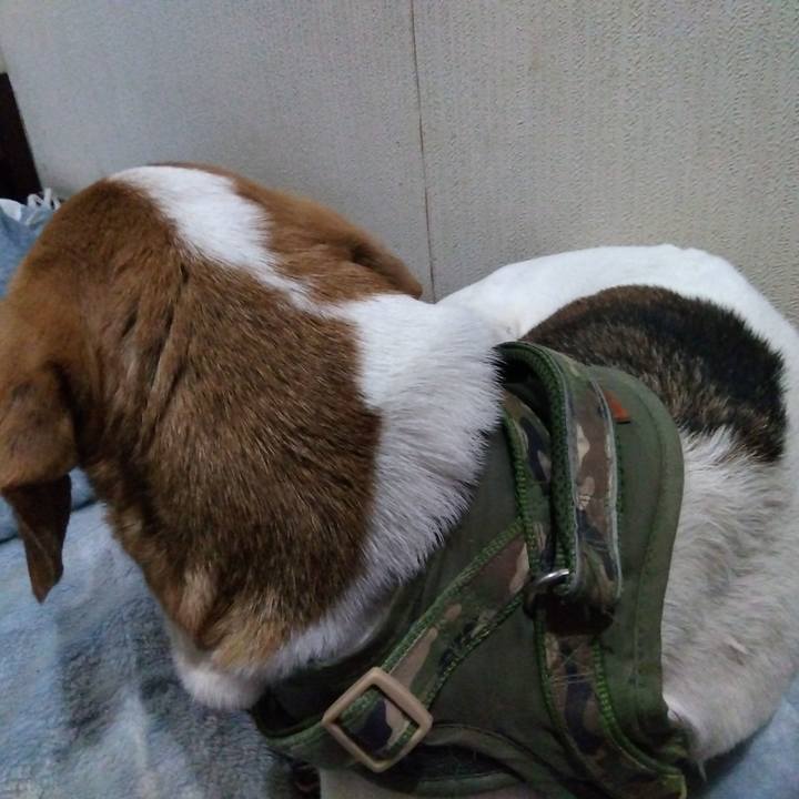 8b24b022 db4d 486a b9b5 c1f526524e52 1678632298882