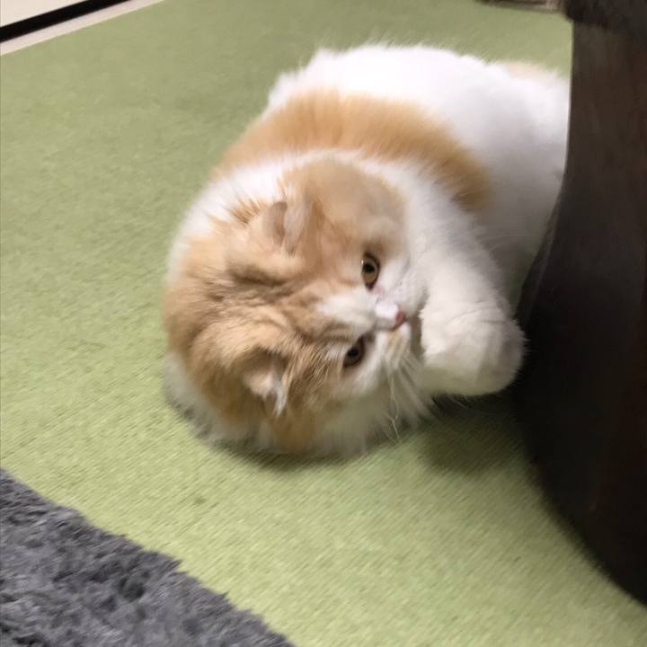 8b24bd8d be56 41e9 817f b2f870dc0dd7 1594545805695