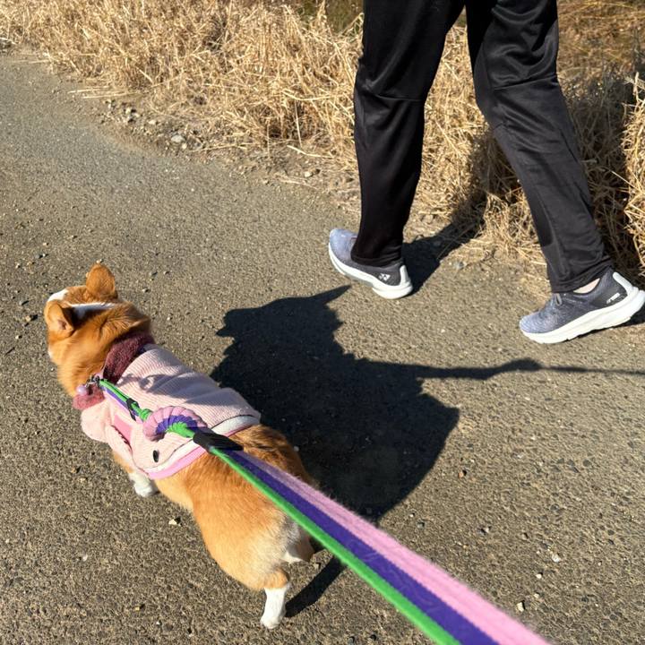 8b24c1fb fe89 49ea 83c8 b79bb16afd35 1768025038778