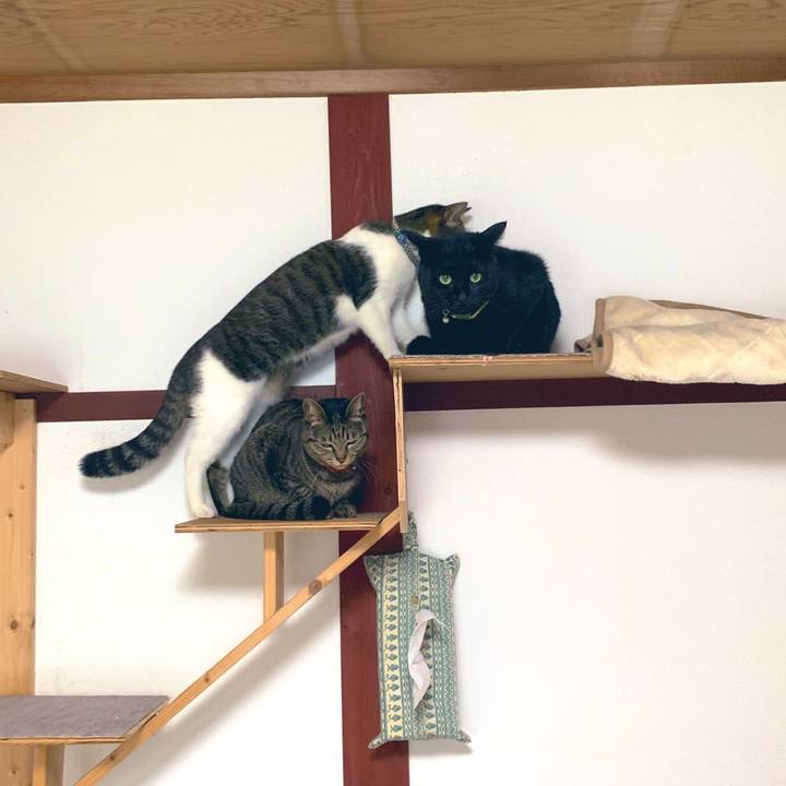 8b24c6e2 f2a9 49e6 b3f0 459baf9ab5c4 1578539811597