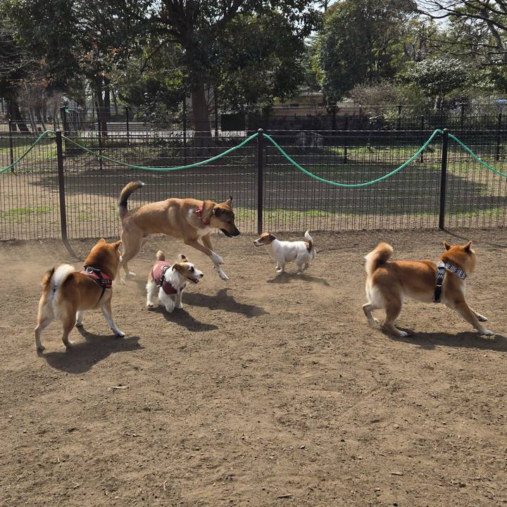 8b24c84a 0804 4b12 8f4d 0a68720bfafa 1774190057913