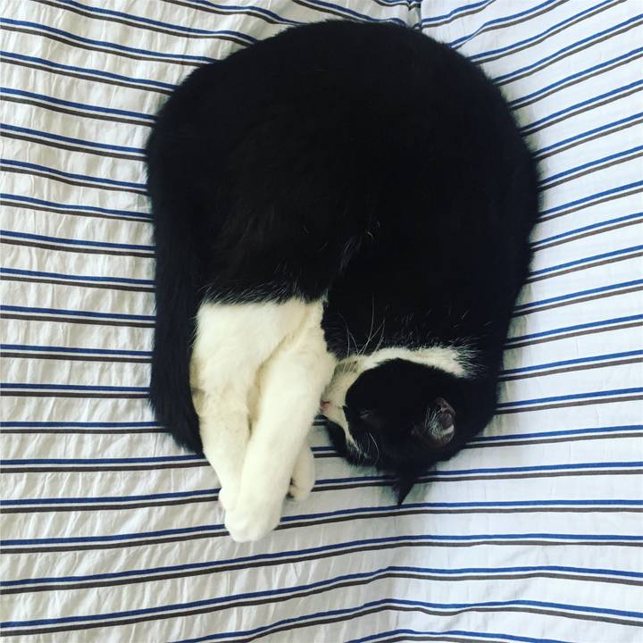 8b24d29f e982 4cc0 b752 f1894f2cf389 1622348817868