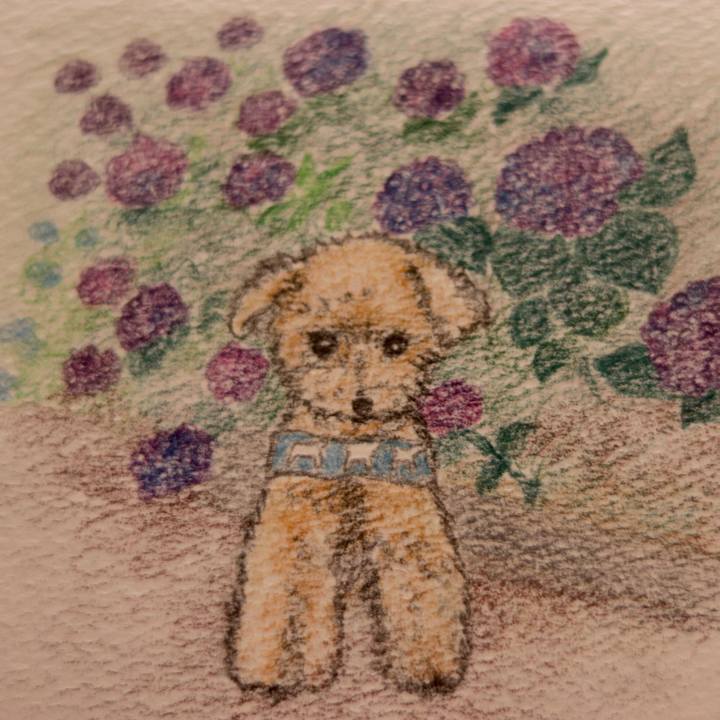 8b24f2cb 07cf 4139 8c3a a44bb61be426 1624801310510