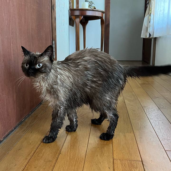 8b250118 1292 4154 bcc6 efc29978439d 1756615373768