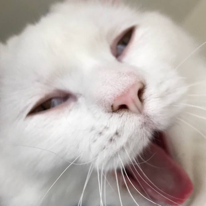 8b2512f3 a924 4267 ba1c 7ad112f94963 1523669355427