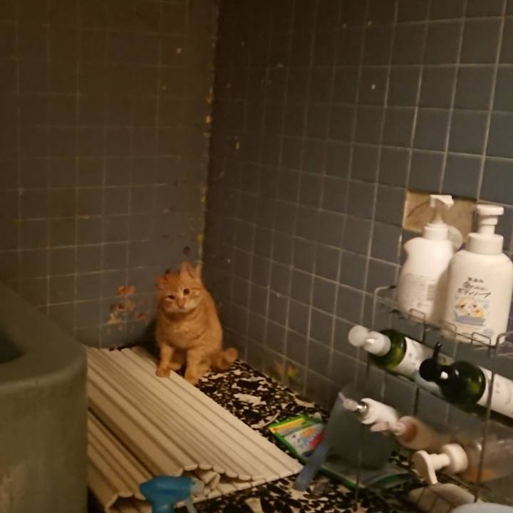 8b252817 7f54 4f95 b7c2 ac555c7381d3 1639569913215