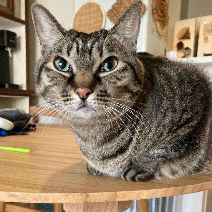 8b25a13d 7b7b 4e98 9bbc a30dbffd46a9 1639089240512