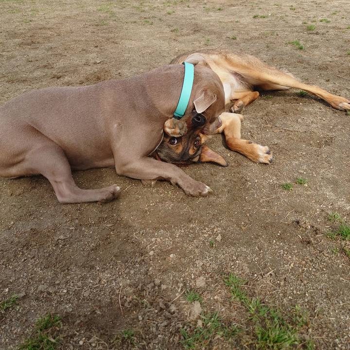 8b25a7df d348 4ffc 8ca1 9f66351b22f7 1712453967853