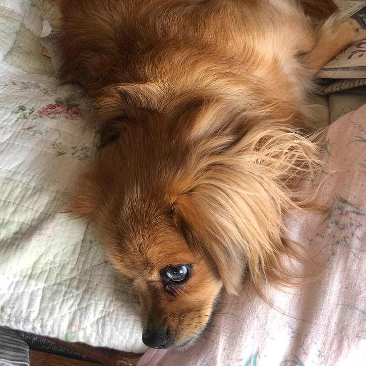 8b25af19 6f55 44be b023 fde02dfb6491 1540763307972