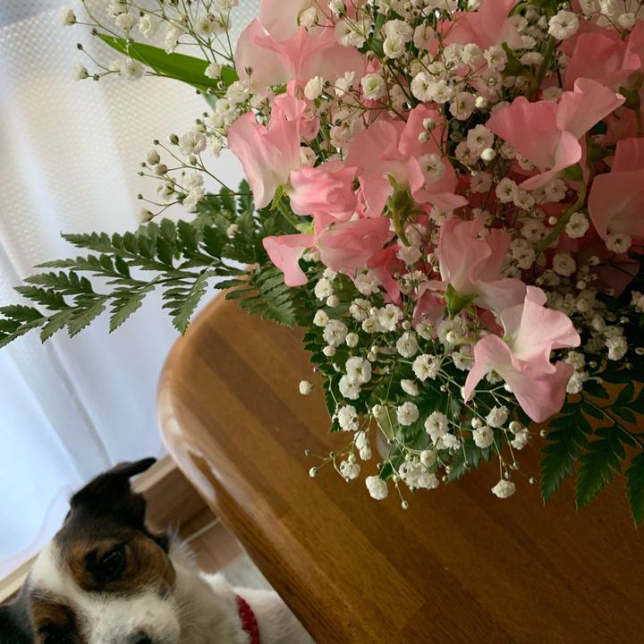 8b25d33b 2832 40ac 8fe6 75b750b7a04d 1615004428319