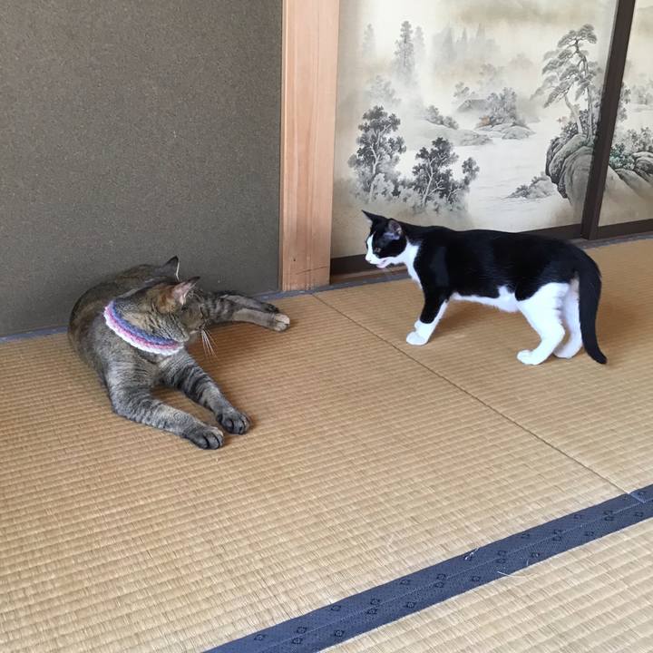 8b25d5d7 e640 45fc 8a79 b2eb4e98c8ee 1626760326132