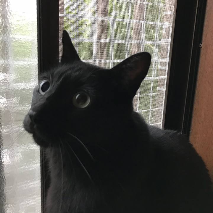 8b260183 a06c 462d 8e6b fe4e9ab3ee0c 1509240930674