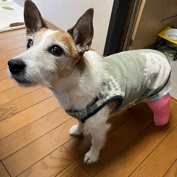 8b261c01 101f 40af a571 a3b2e0a52a63 1715297050327