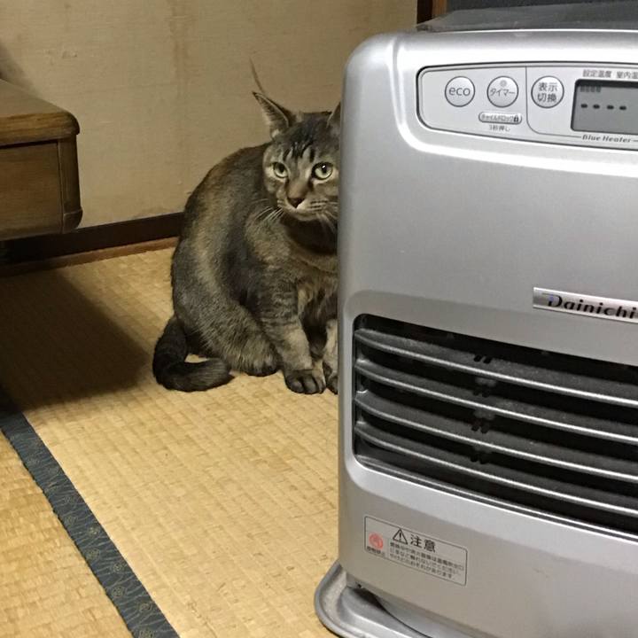 8b2636b6 6867 4de3 8b06 693fa7e2873a 1706181098043