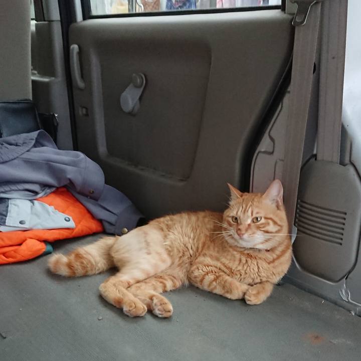 8b26456e 82be 44cf 98bb 9aee01495720 1657617696367