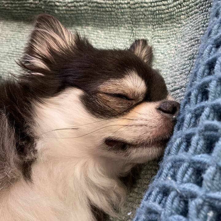 8b264c3d fc57 4f6e 9123 726324da2b1e 1657988602902