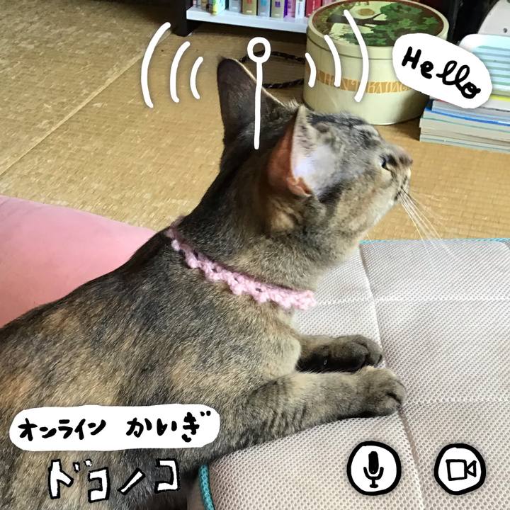 8b265983 93db 4751 bbd6 8a6f0b51d87b 1590719584745