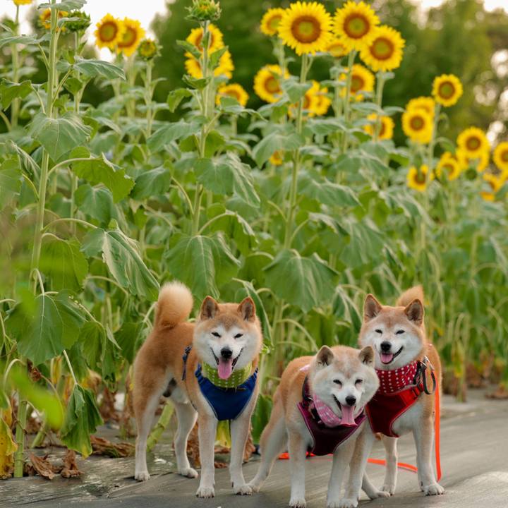 8b2691ce cfb9 40bc ae1d a330541a8948 1754236833100