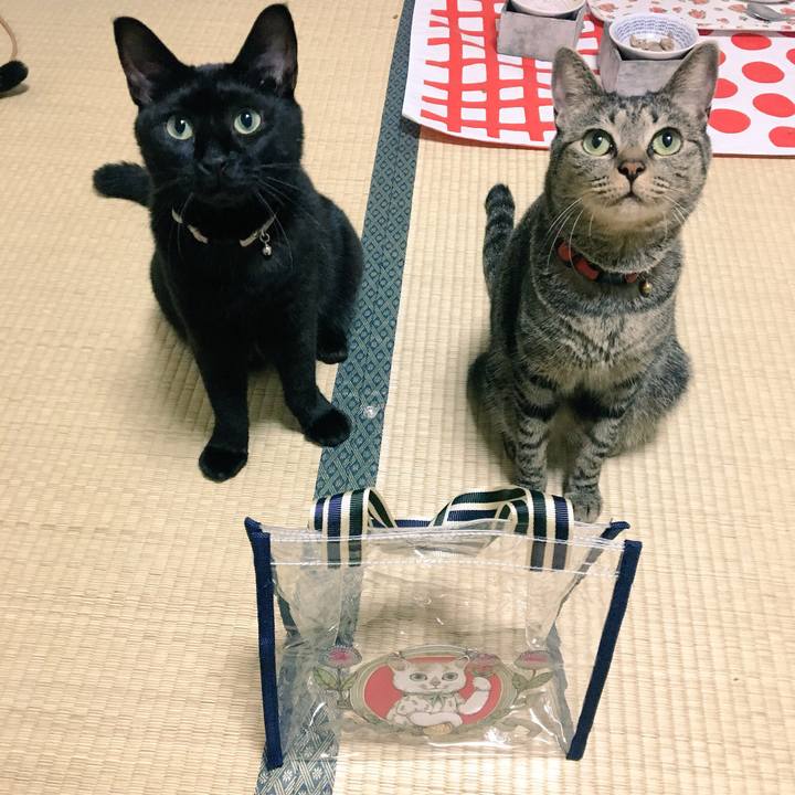 8b26cb7a c597 4f82 9dad 3dd32216527e 1535027554657