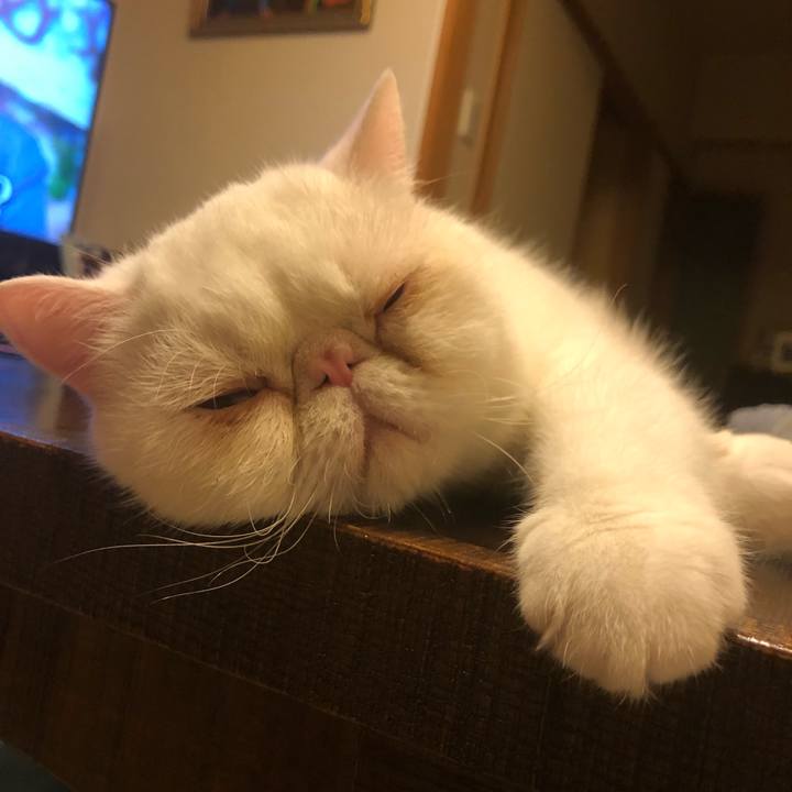 8b270e05 f257 403c b91f 72b0146ba6e5 1625967573881