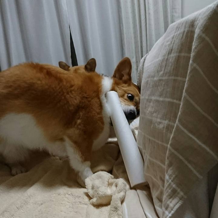 8b271d40 ba61 4257 8ad0 7ab29c03e013 1520676178620