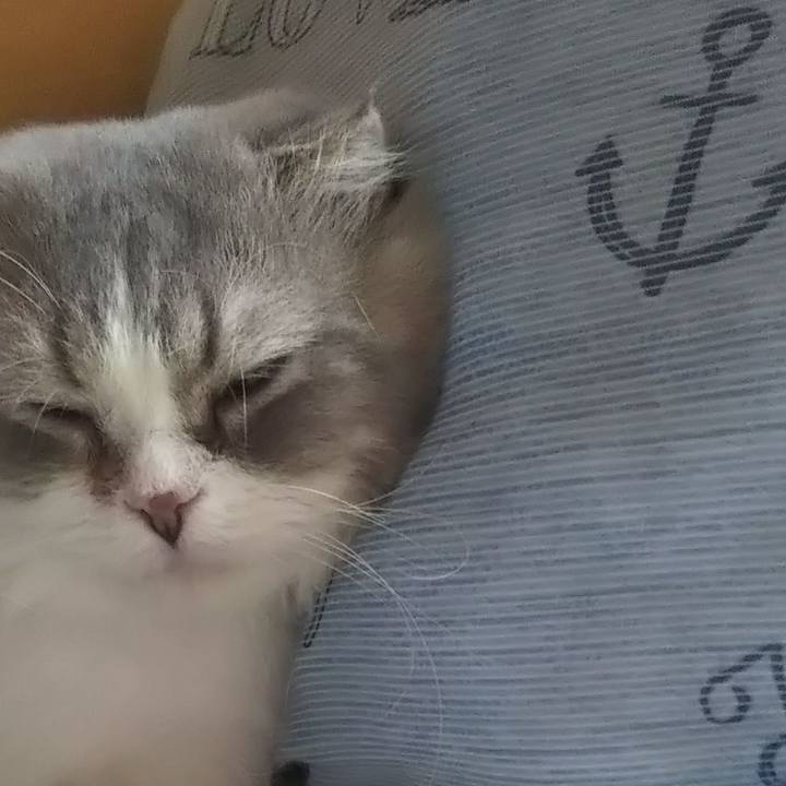 8b272533 28fe 4237 a03e 37c053f1f7b2 1627273145135