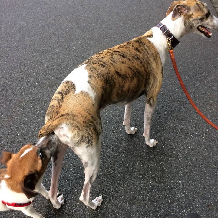 8b274cc1 ad81 4ce5 a554 e7eff46b9714 1589003692730