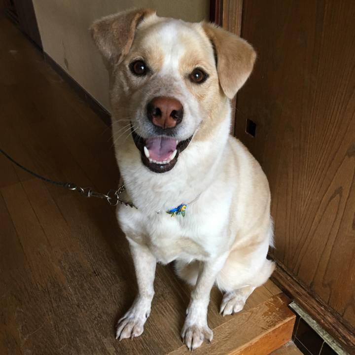 8b277ac8 090f 43b8 90aa 97f0cf38a718 1524273407283