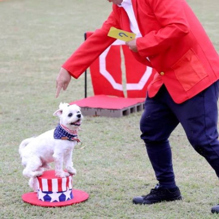 8b27d807 b77f 46e9 b4a6 18af8a6f761f 1734530720606