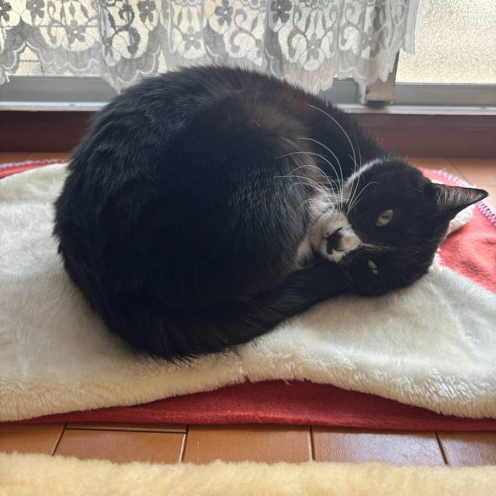 8b27d9a5 944e 449e 8183 7bea24d184ef 1773640916600