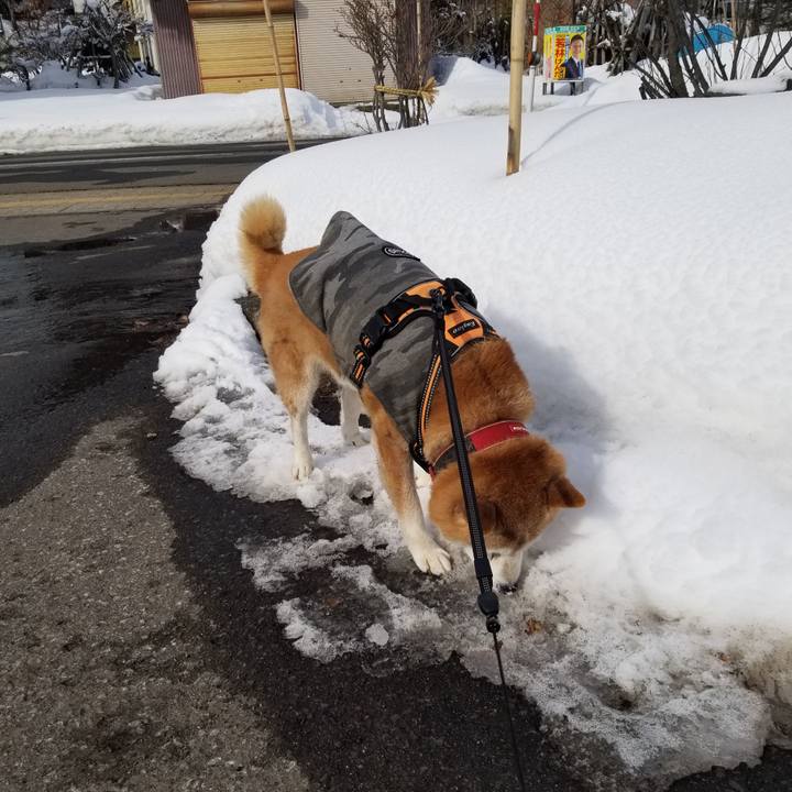 8b27f4b4 25b2 45d4 92ec 496d5b59472e 1736652413732