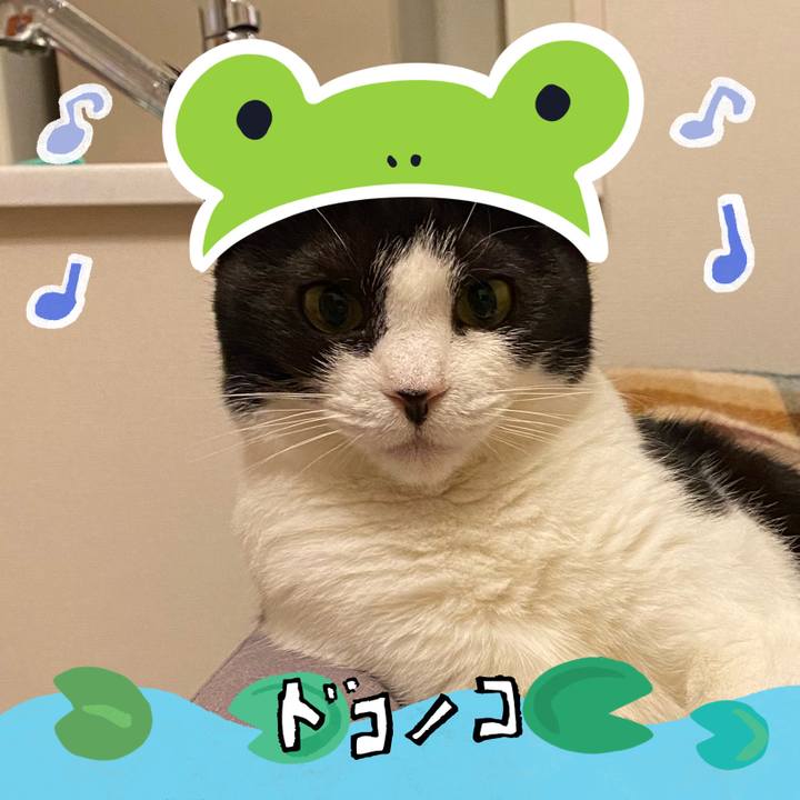 8b28a3d5 961c 47c4 b81c a82b8295ee69 1717675810972