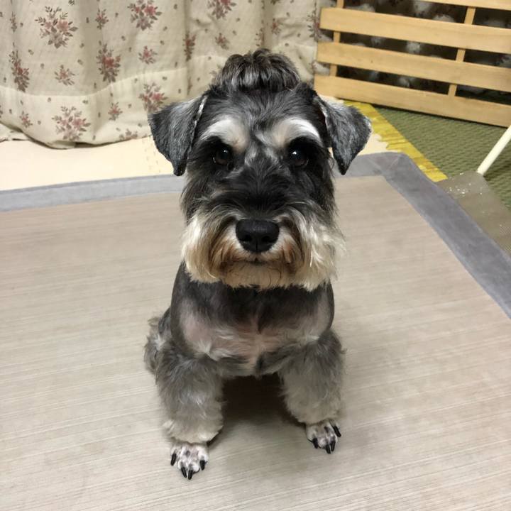 8b2933e5 2759 4769 af49 c9cab5750792 1601031624959