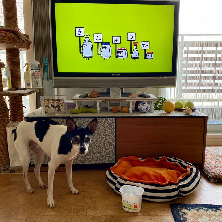 8b2939f4 4e6f 4188 a883 58603d78c67b 1584050477617