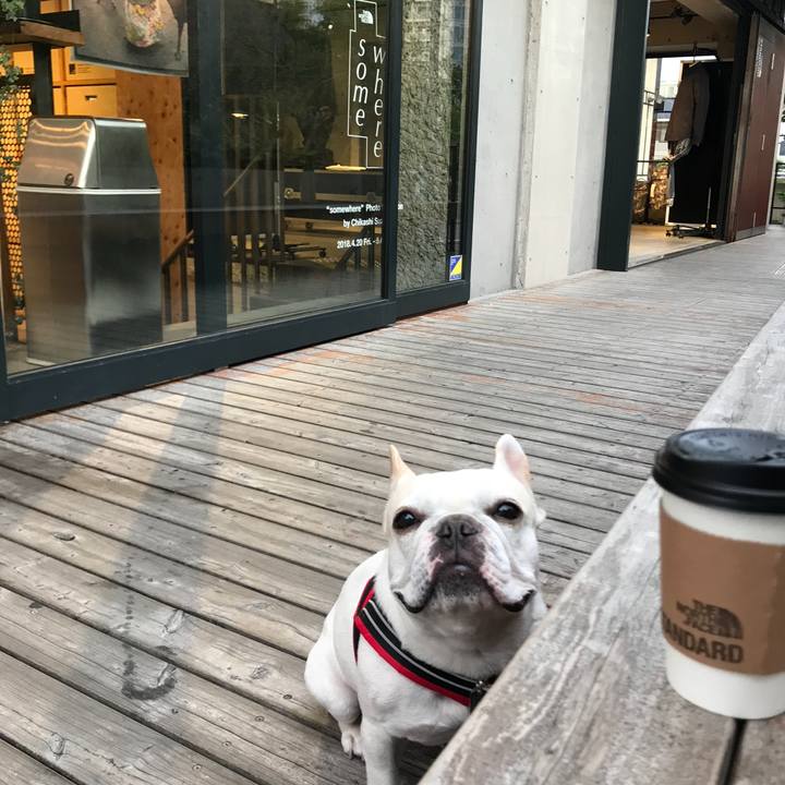 8b29bb13 8ae1 4f63 844f a07192ff35aa 1524744214521